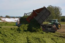 Forage Harvesting in Sibirskaya Niva