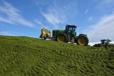 Forage Harvesting in Sibirskaya Niva