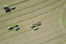 Forage Harvesting in Sibirskaya Niva