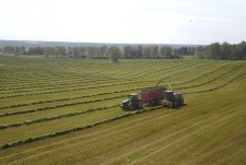 Forage Harvesting in Sibirskaya Niva