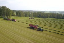 Forage Harvesting in Sibirskaya Niva