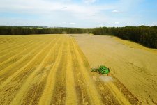 Grain crops harvesting in Sibirskaya Niva