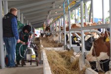 Inter-regional Pedigree Cattle and Livestock Equipment Trade Show