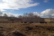 Visit of the Gevernor of the Orenburg oblast to Severnaya Niva