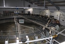 Opening of modernised Penkovo dairy