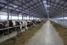 Opening of modernised Penkovo dairy