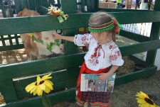 Kurskaya Korenskaya Fair — 2018