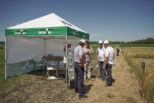 Voronezh Field Day — 2018