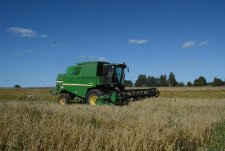 Оats harvesting in Savinskaya Niva