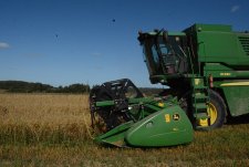 Оats harvesting in Savinskaya Niva