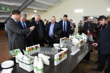 Launch of four modern dairy farms in Voronezh oblast