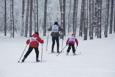 Ski race in EkoNivaAgro 2019