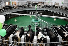 Opening of the modern dairy farm Nesterovo