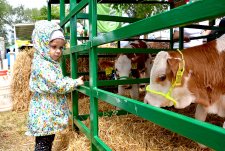 Kurskaya Korenskaya Fair 