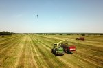 Forage harvesting in EkoNivаAgro 