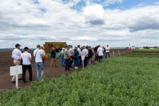 Field Day in Sibirskaya Niva