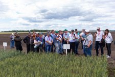 Field Day in Sibirskaya Niva