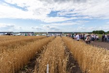 Field Day in Sibirskaya Niva