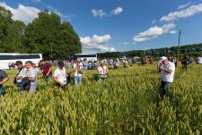 Field Day in Sibirskaya Niva