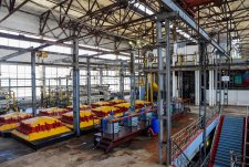 Launch of a sugar factory in Kursk oblast