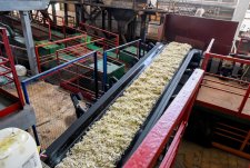 Launch of a sugar factory in Kursk oblast