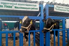 Siberian agricultural week 2023