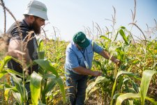 Crop production master class