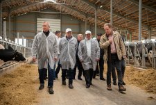 Opening of Penevichi dairy