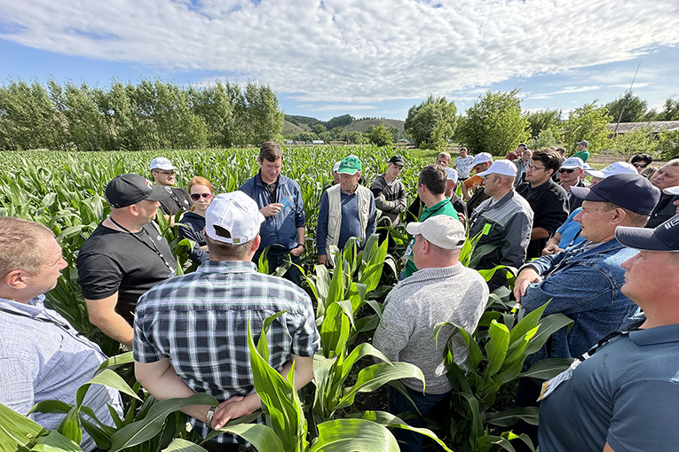 Enhancing crop production 